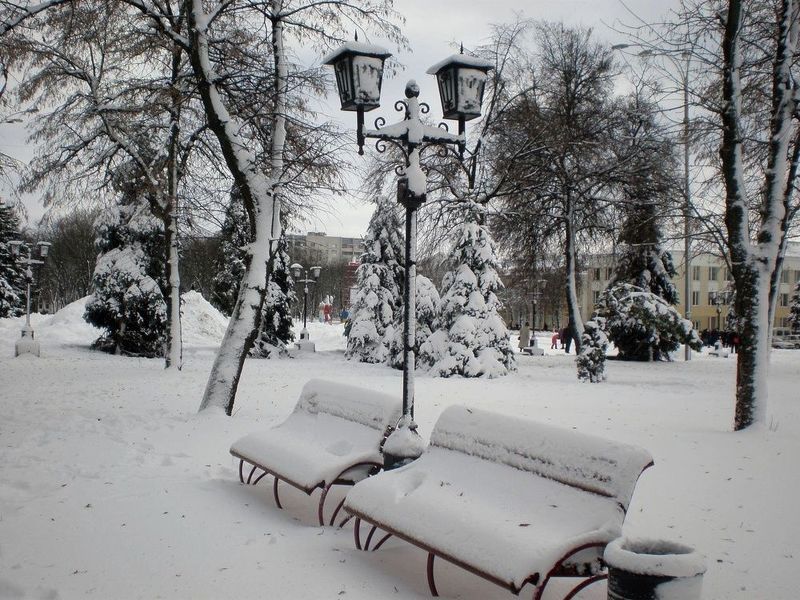 Зимаphoto preview