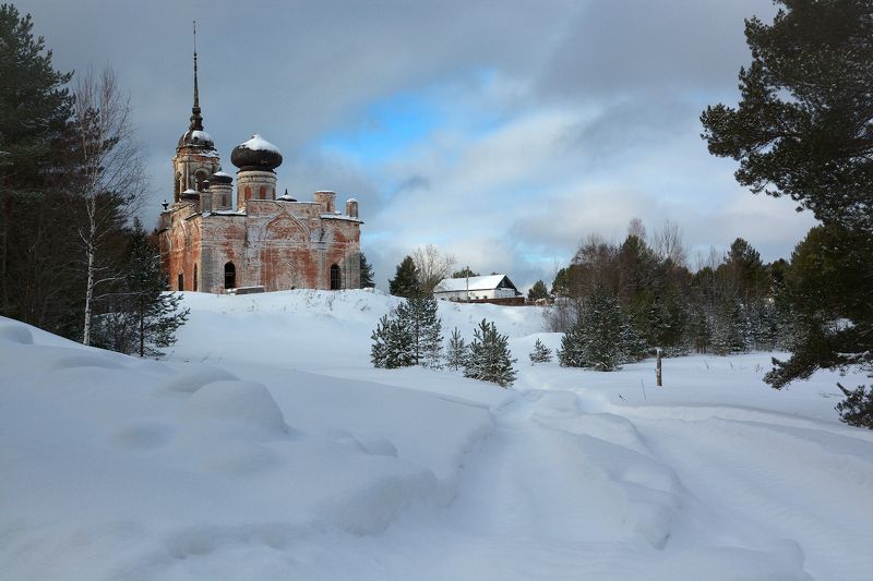 И зубры любят красоту!photo preview