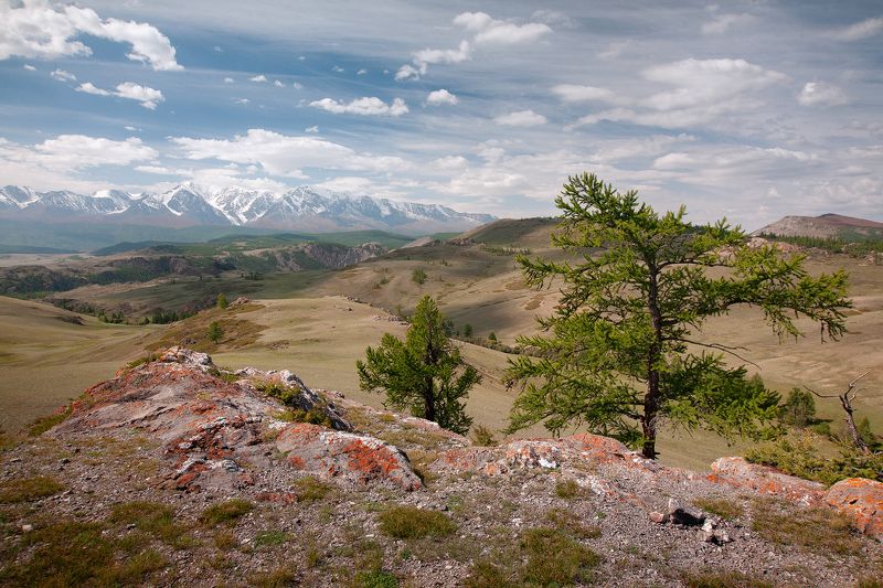 алтай, горы, осень, пейзаж, природа, красиво Классическая алтайскаяphoto preview