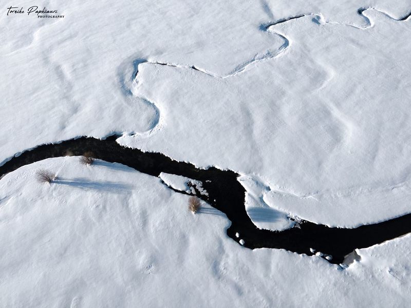 landscape, georgia, tree, winter Winter in Georgiaphoto preview