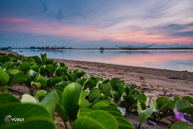 Vietnam, landscapes, Sea, morning, flowers, river, boats, sunrise, summer Green on the riverbankphoto preview