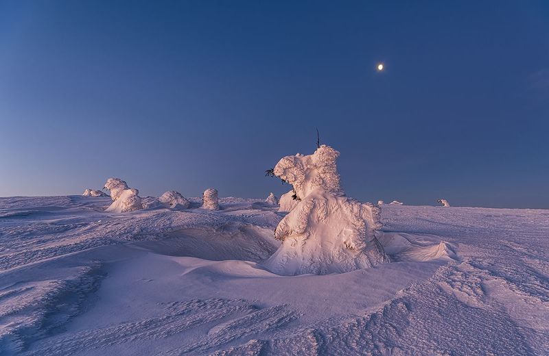 O świciephoto preview