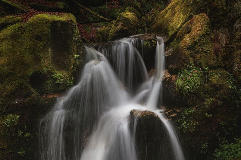 Johann Piberphoto preview