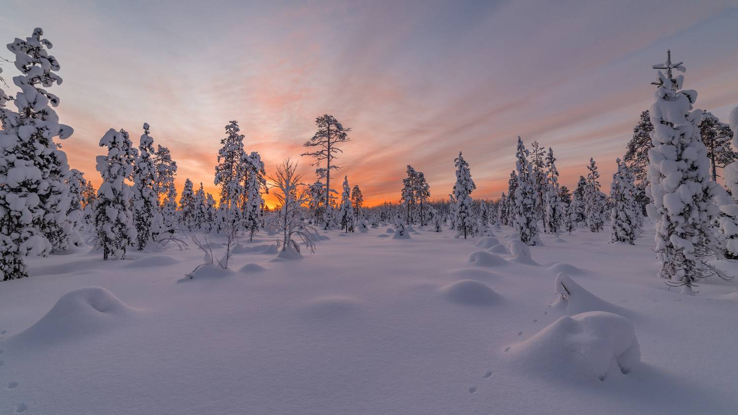 Тихий рассвет. Автор: Роман Горячий север, кольский, заполярье,, Роман Горячий