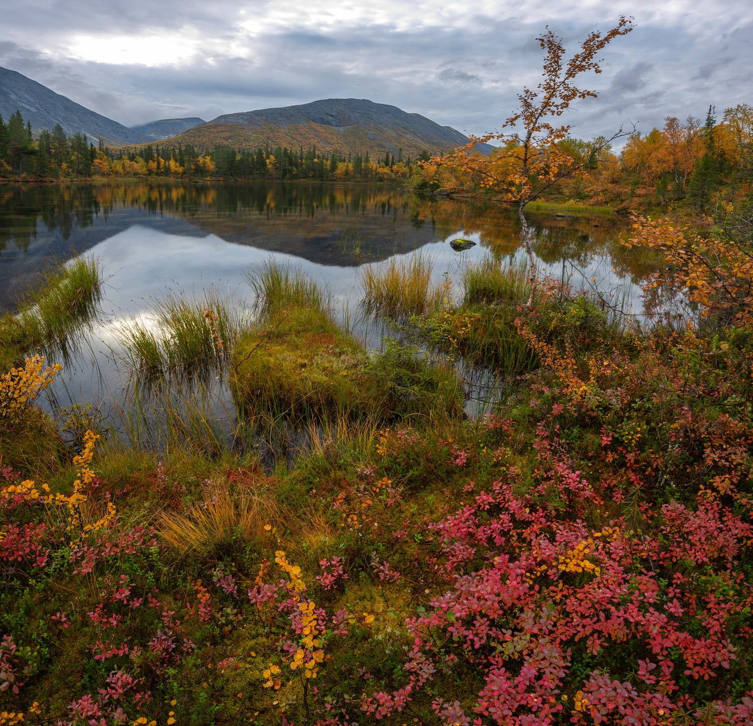 Хибины. Автор: Vladimir Bragilevsky , Vladimir Bragilevsky