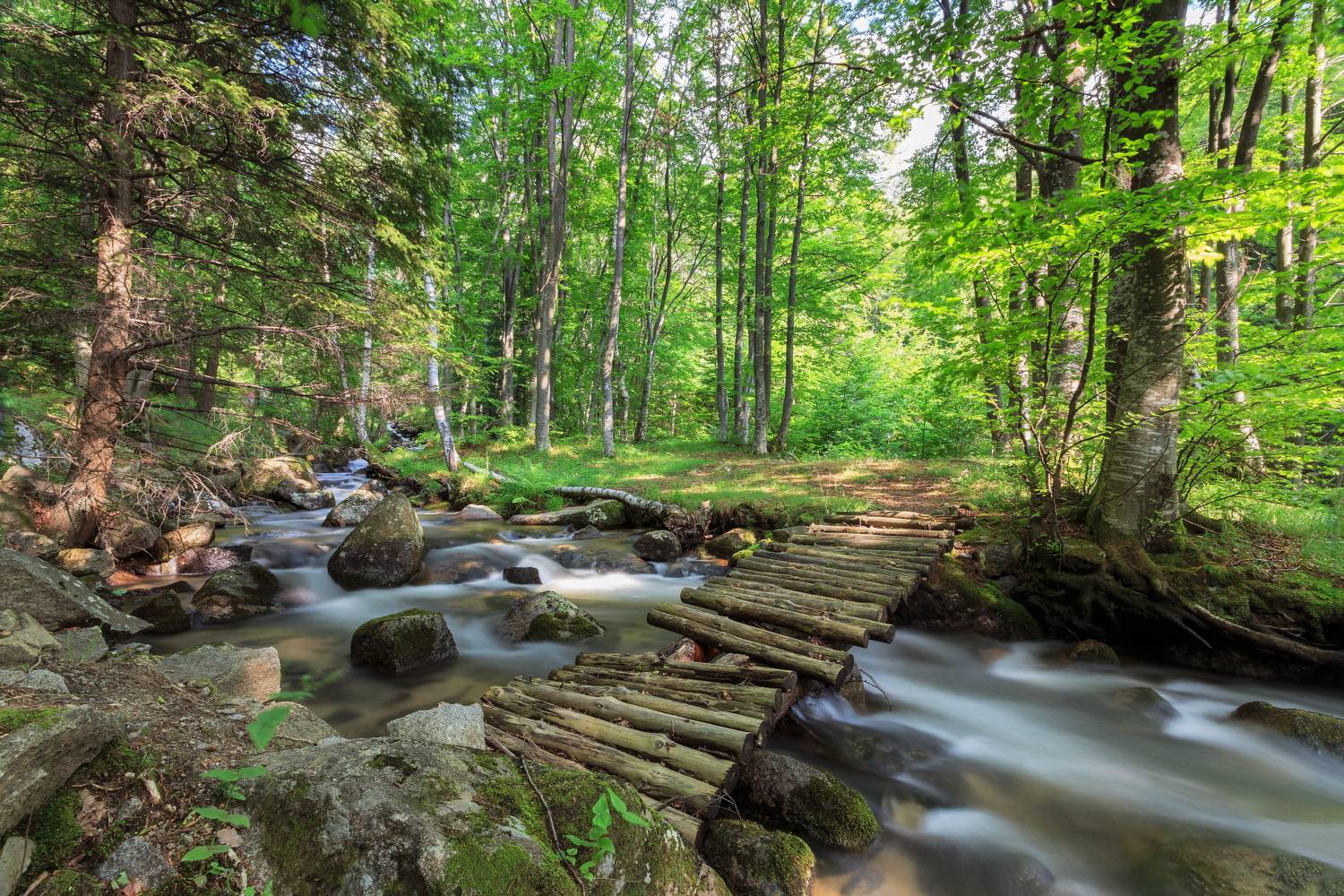 , Александър Сандев