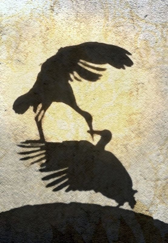 История любвиphoto preview