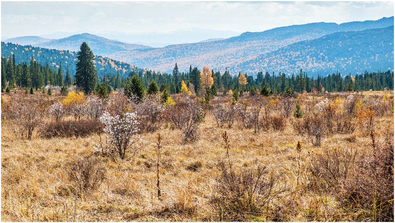пейзаж, осень, горы, Горный Алтай Осенний пейзаж в горах Алтая photo preview