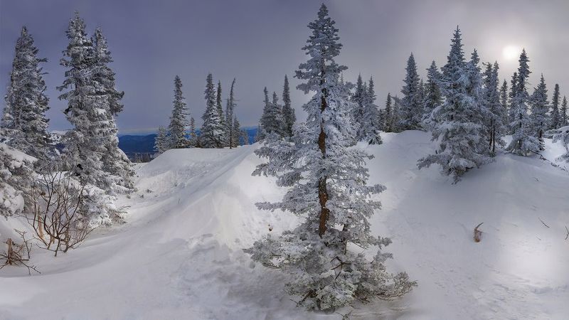 зима, снег, горная шория, шерегеш Среди зимыphoto preview