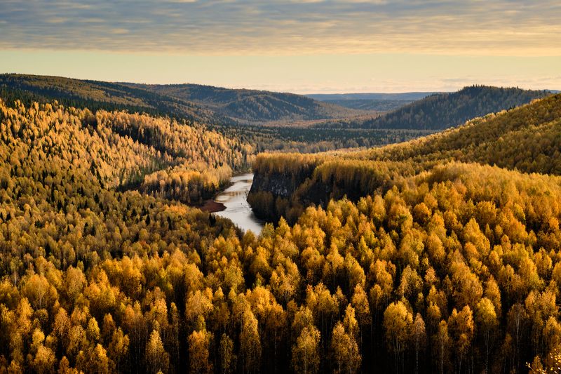 Золото пармыphoto preview