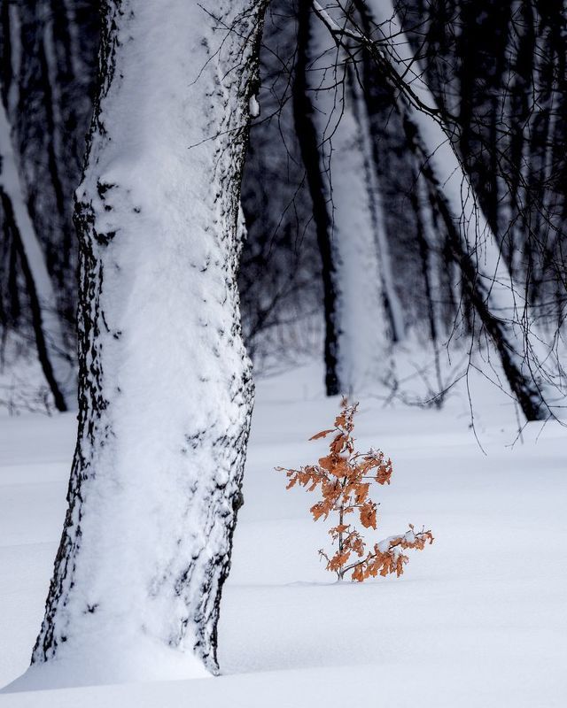 Малыш фото превью