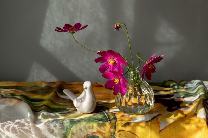 В летний солнечный деньphoto preview