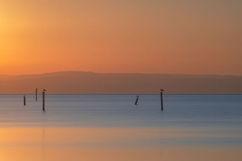 bird, gull, seagull, sleep, morning, sunrise, sea, seascape, sun, long exposure Gullsphoto preview