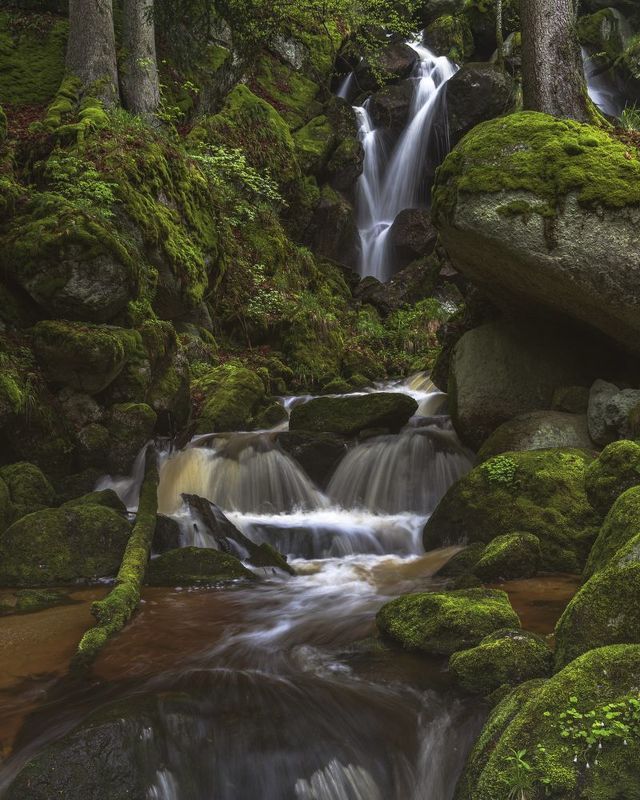 waterfall, ysperklamm, gorge, forest, woodland, water, river, green Waterfalls in the Ysperklamm / Ysper Gorge in Lower Austriaphoto preview