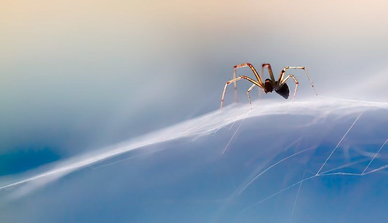 смотрящий хрустальных мировphoto preview