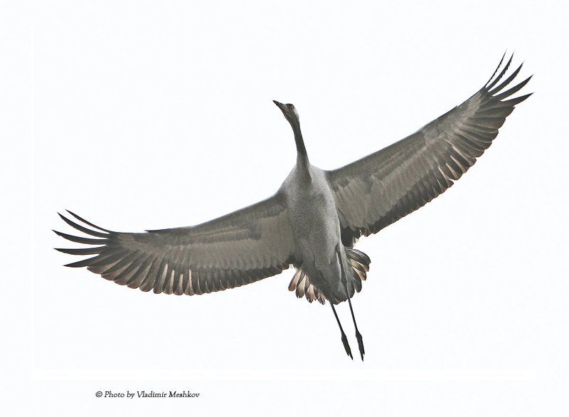 С первыми лучами солнца... фото превью