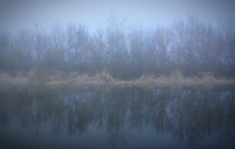 Осенний туманphoto preview