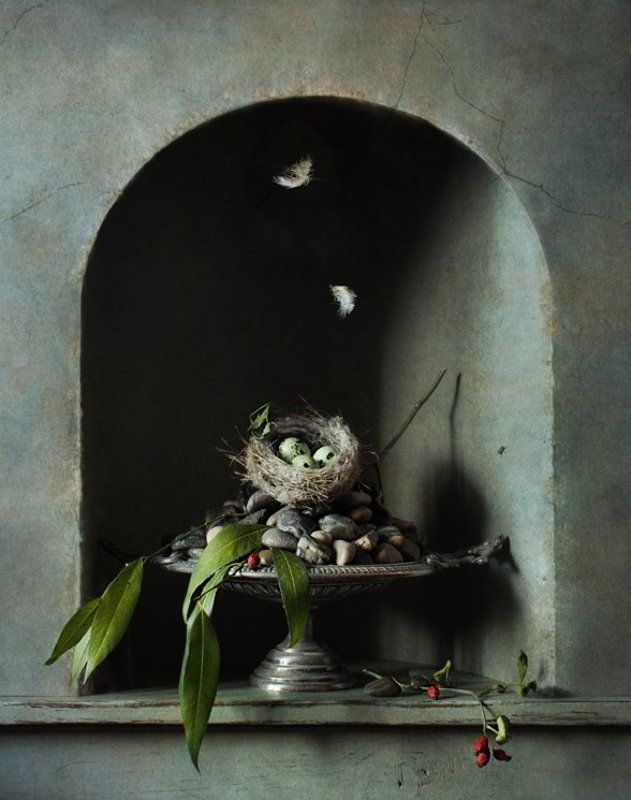 Гнездоphoto preview