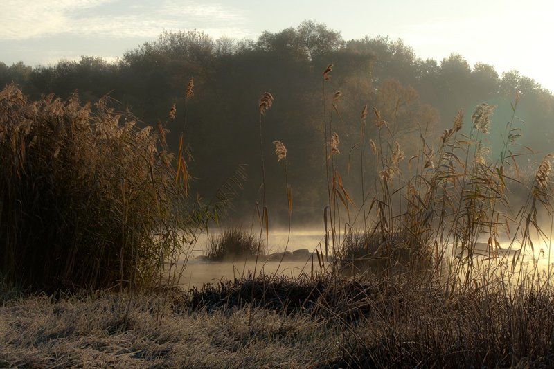 Река. Утро. Туман. Островки.photo preview