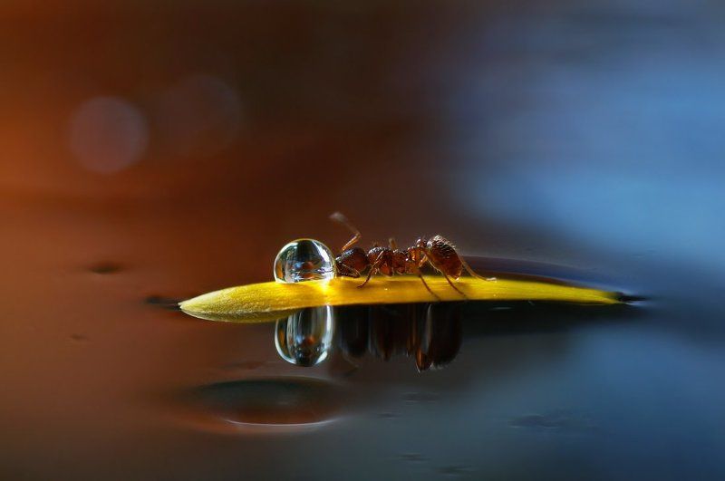 На маленьком плотуphoto preview