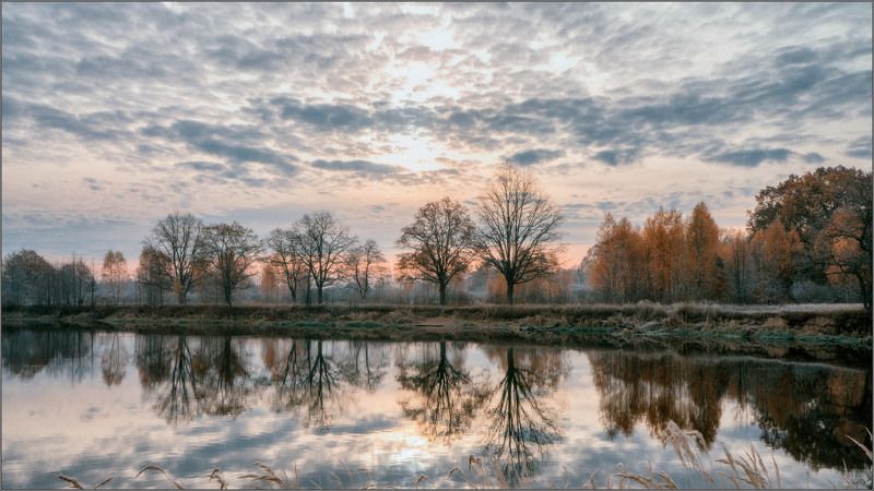 Autumn next to a river.  Belarus.November.photo preview