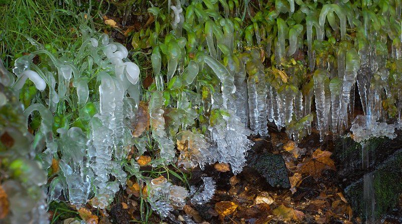 Водопад, Зима и лето, Лёд, Подмосковье, Растения, Сосульки Pro лето и зиму в одном флаконе...photo preview