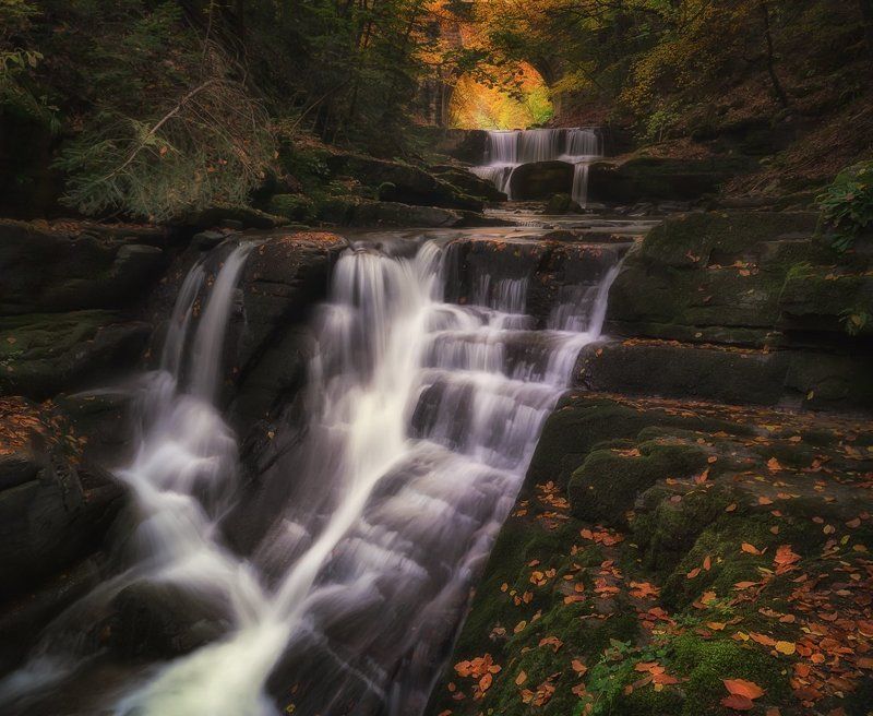 Есенphoto preview