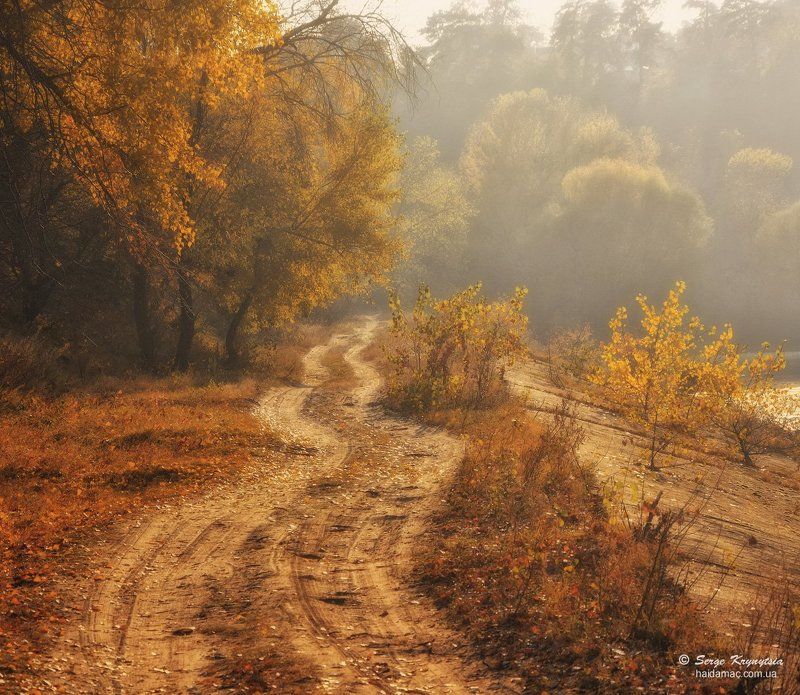 осень, autumn, fall Autumn Dreamnessphoto preview