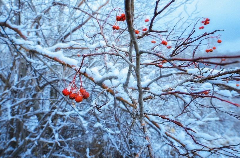 С первым снегомphoto preview