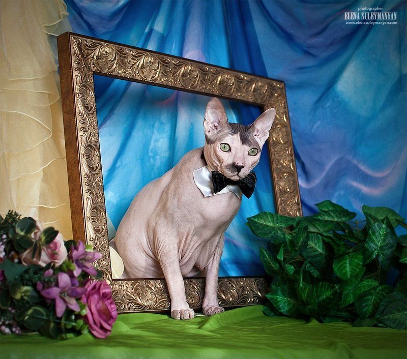 Сошедший с картины...))photo preview