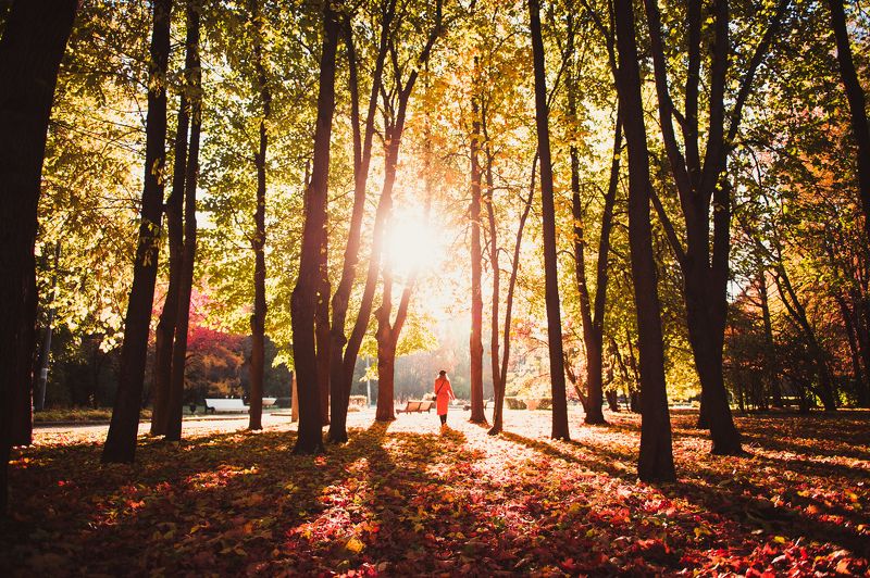 peterkolchin Прощальнаяphoto preview