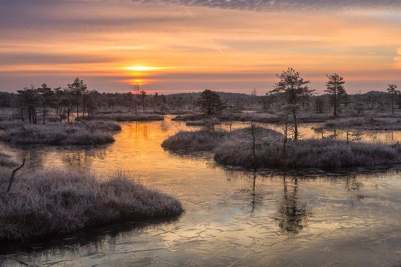 Eriks Zilbalodis, Latvia