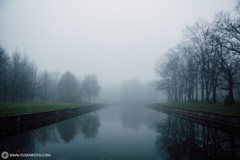 туман,осень,ноябрь,природа,пейзаж Ноябрский Туманphoto preview