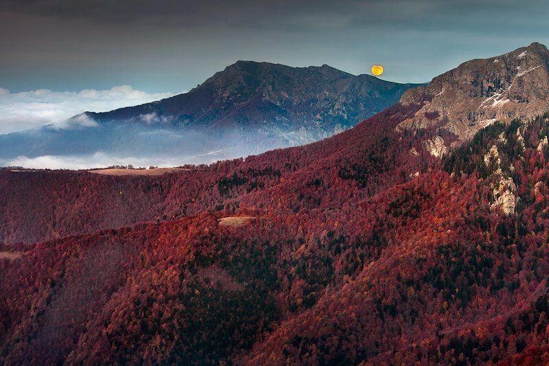 Лунный Рассветphoto preview