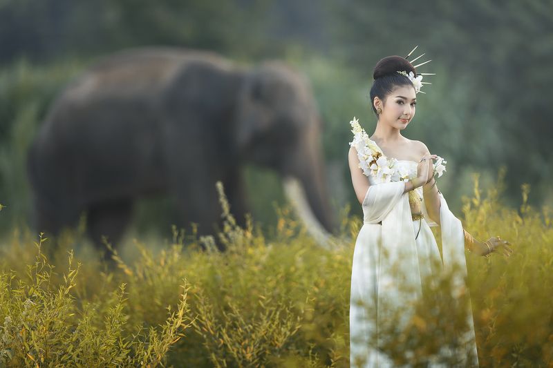 Animals, Asia, Asian, Beautiful, Cute, Elephant, Girl, Thai, Thailand, Woman Girl and elephantphoto preview