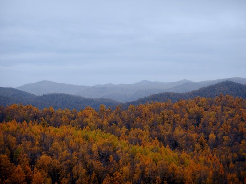 Veronika, Russia