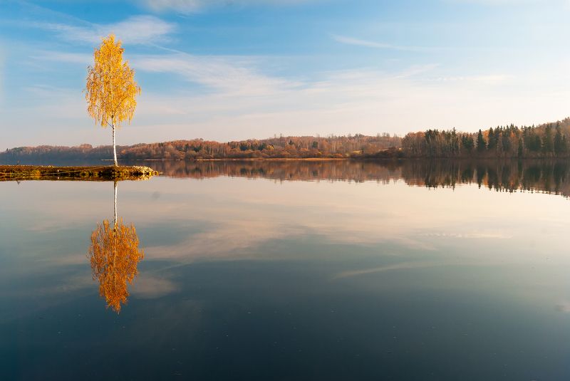 winstyle, Latvia
