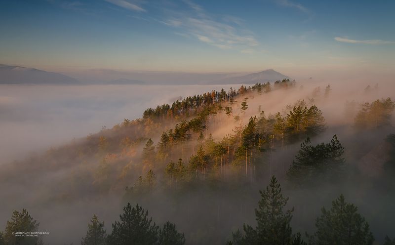 fogg, morning, autumn, Belogradchik, Bulgaria, trees, sky, landscape  Утро туманноеphoto preview
