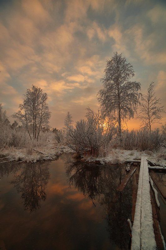 ...тропинка в зимуphoto preview