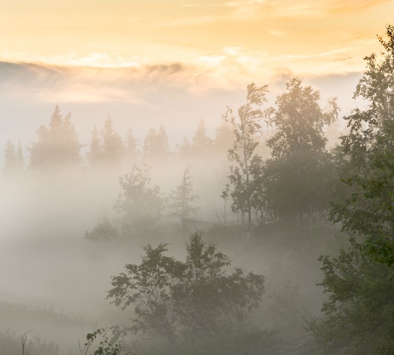 Рассвет, Туман, Утро, Ямал Летний рассветphoto preview