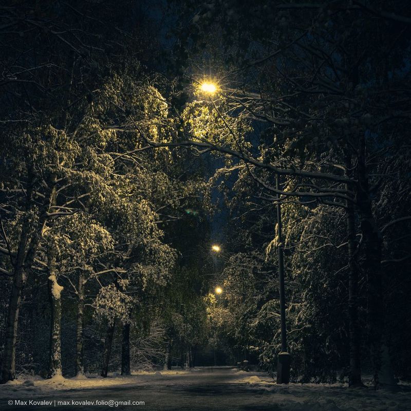 Europe, Moscou, Moscow, Russia, autumn, birch, evening, foliage, leaf, leaves, nature, park, path, plant, snow, tree, Европа, Москва, Россия, берёза, вечер, дерево, дорожка, лист, листва, листья, осень, парк, природа, растение, снег, тропа, фонарь Первый снег / First snowphoto preview