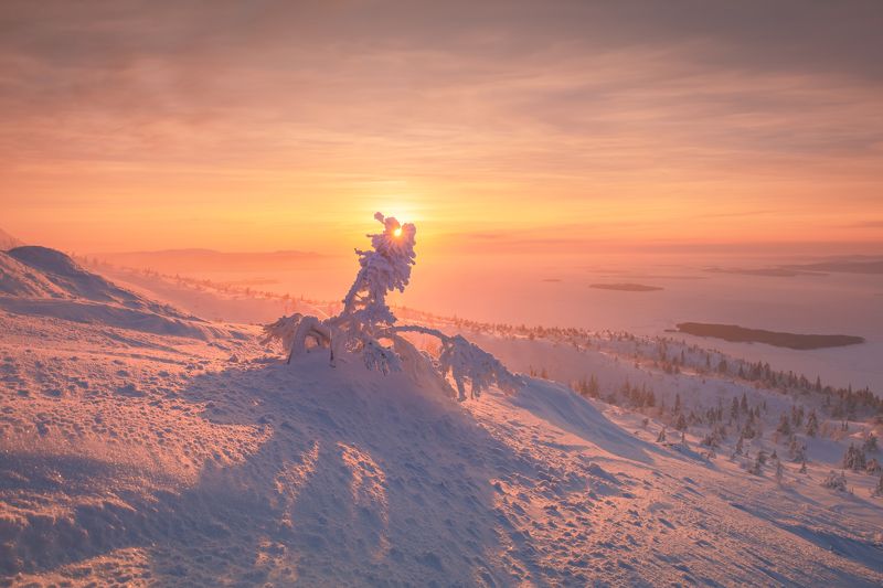 Утренний вальс....photo preview