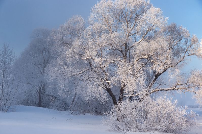 Зимний мотивphoto preview