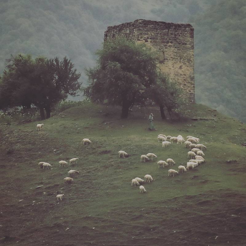 georgia Otaraphoto preview