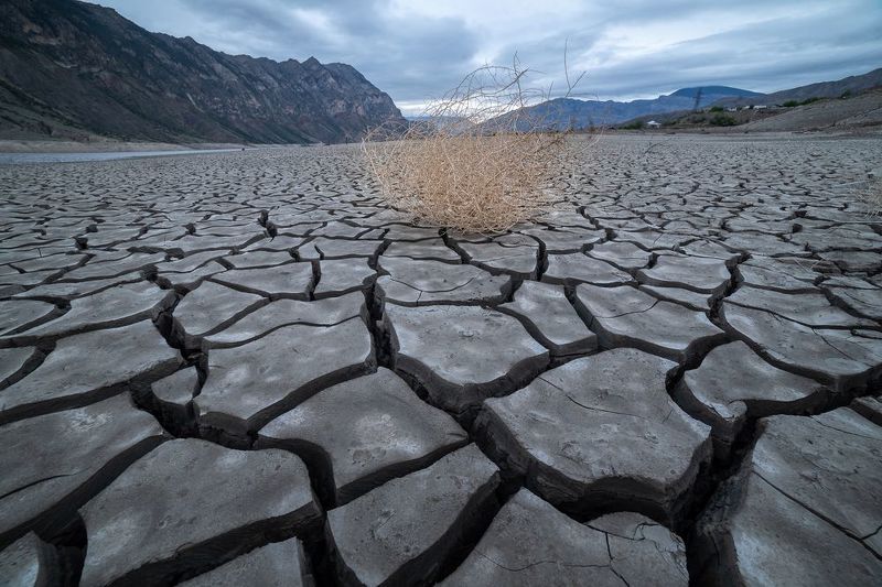 Фото на модерацию.photo preview