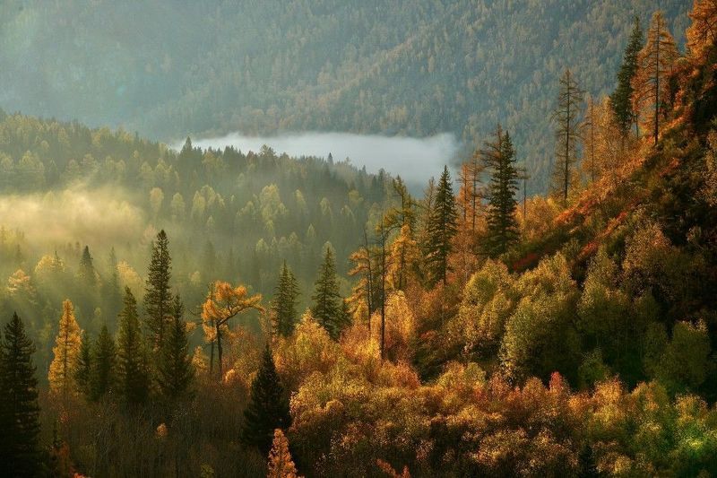 Утро на впадении Урсула в Катуньphoto preview