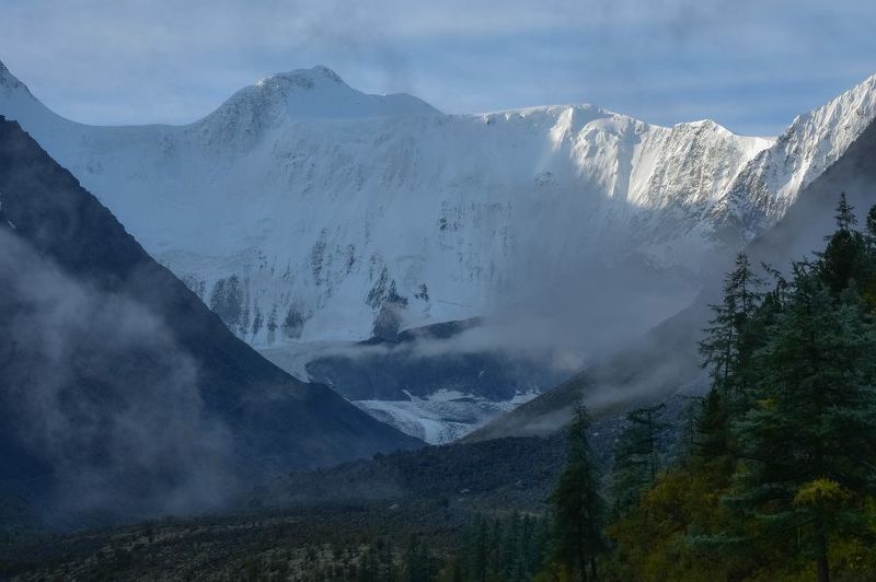 россия, алтай, горный алтай, утро, туман, ели,  гора белуха, горы Алтай Белуха стенаphoto preview