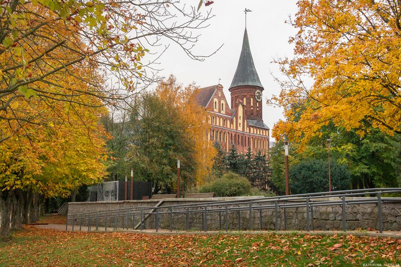калининград, городской пейзаж, архитектура, осень Собор. Осеньphoto preview