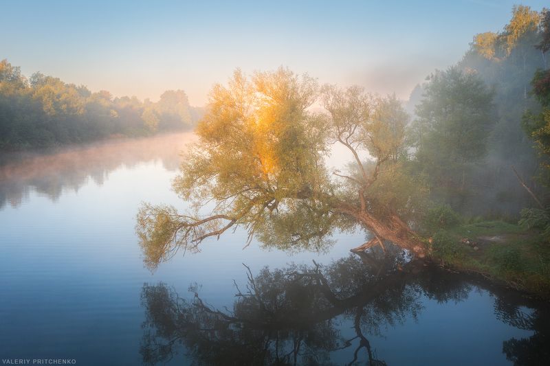 утро, рассвет, пейзаж, природа, туман, осень, дерево, morning landscape, nature, autumn, tree, fog, calm Утро на озереphoto preview