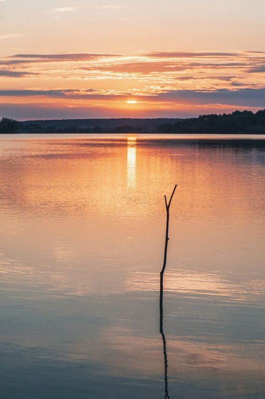 Закат у прудаphoto preview